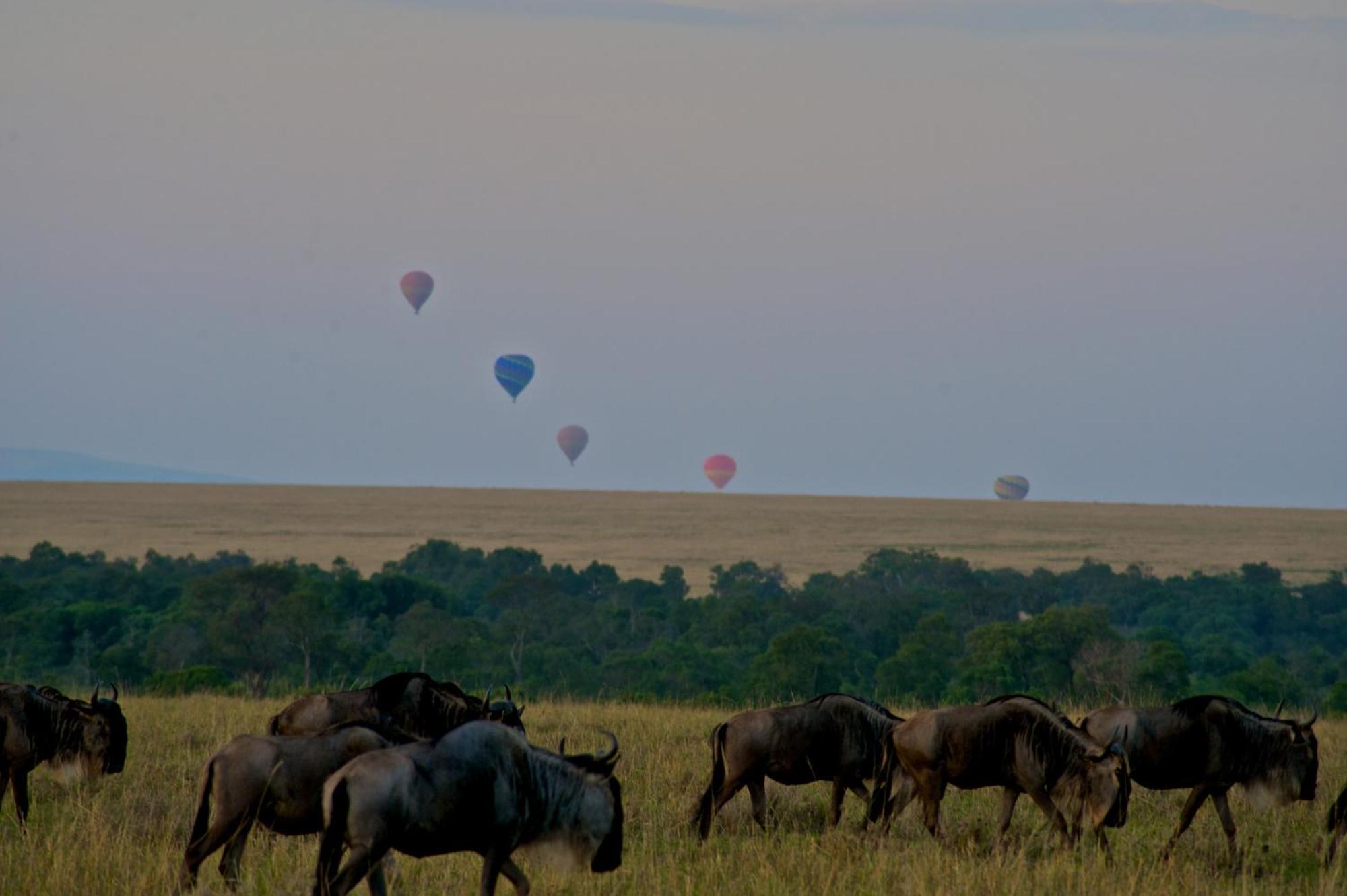 Mara Elatia Camp Vila Maasai Mara Exterior foto